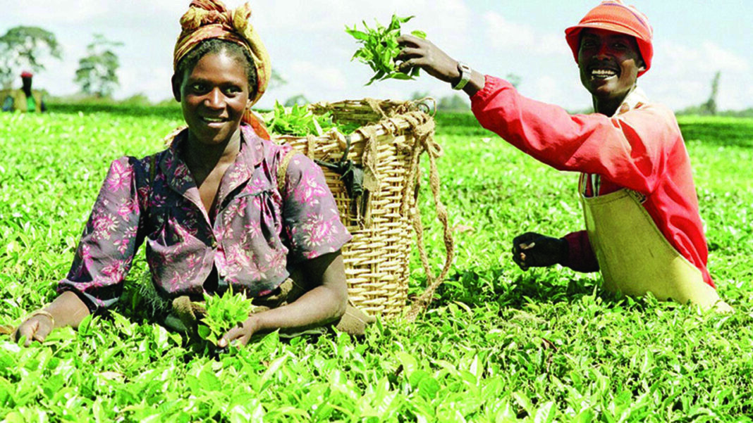 Expert lists health benefits of organic farming