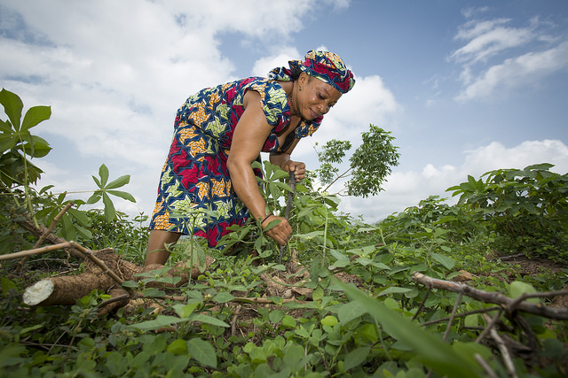 How Nigeria can avoid looming food crisis – Farmers, Officials