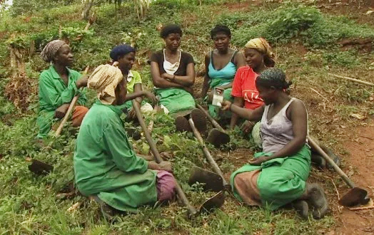 How Women Can Take Driving Seat In Nigeria’s Male-Dominated Farming Industry