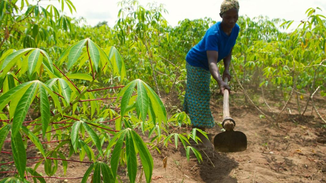 Recovering government-facilitated agric loans