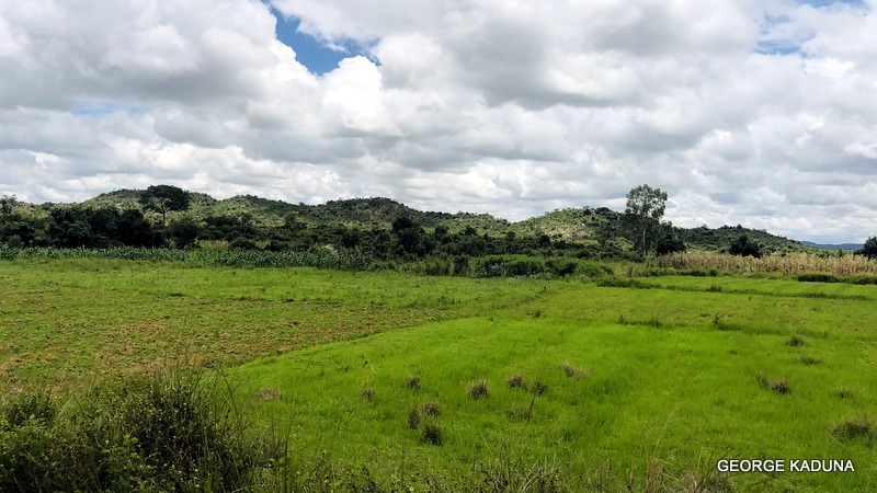 UN agency trains journalists on land restoration