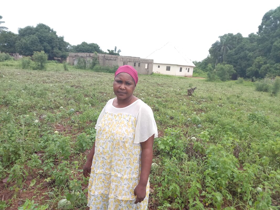 Women in Agriculture: How my neighbour was killed on his farm — Farmer