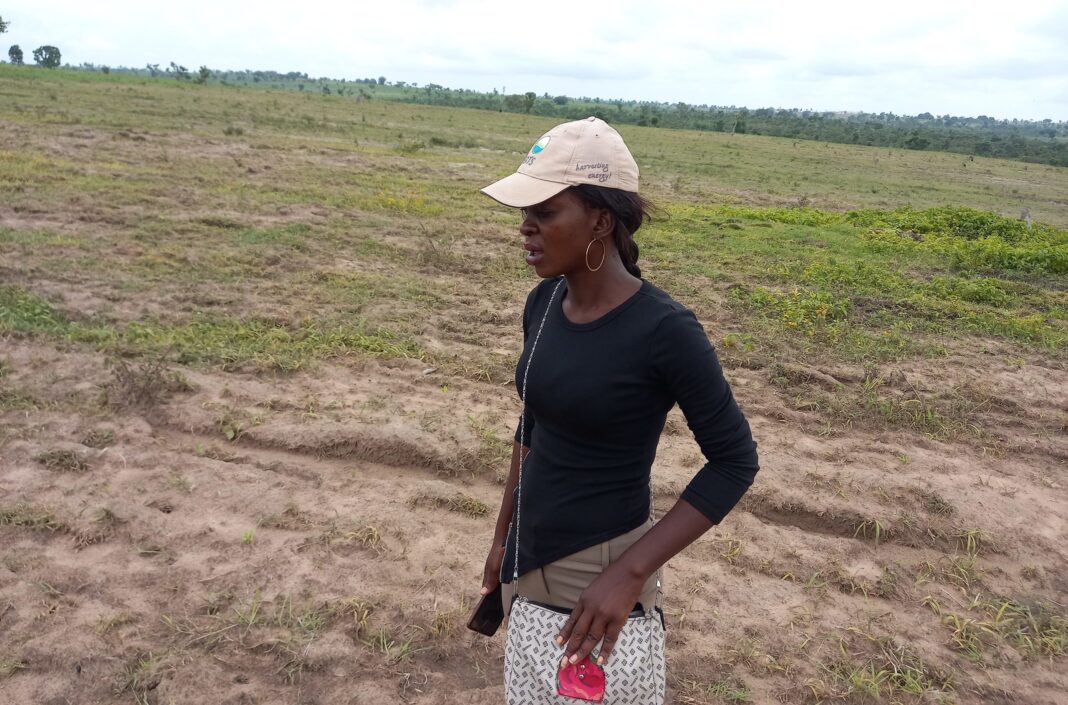 Women in Agriculture: What it takes to start small-scale farming, food processing in Abuja