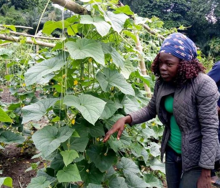 #Women in Agriculture: ‘My family members won’t support me as a farmer; they think I’m suffering’